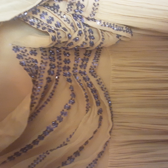 Beautiful East India Alyiana NWT Dress With Studs Sz XL - Picture 9 of 12